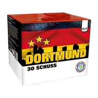 5494 Dortmund