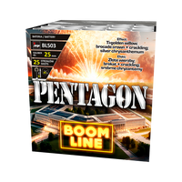 Pentagon 25s Auslegerlinie BL503 F2 8/1