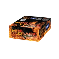 Mini Crack 100s PXB2141 F2 24/1