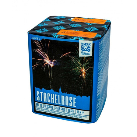 Stachelrose 16s AC30-16-5 F2 6/1