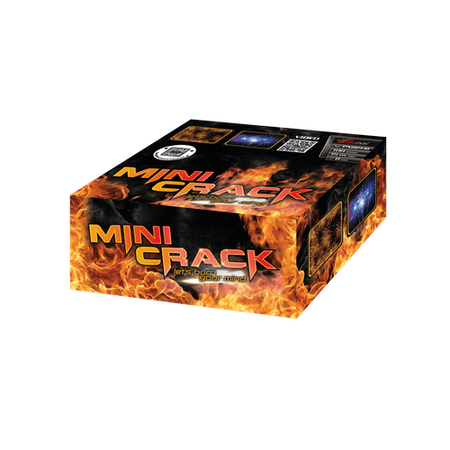Mini crack 100s PXB2141 F2 24/1