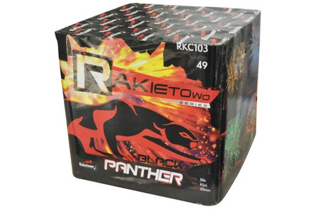 Schwarzer Panther 49s RKC103 F3 2/1