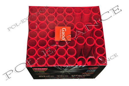 Berijd de Wave 50s SL50/02 F3 2/1