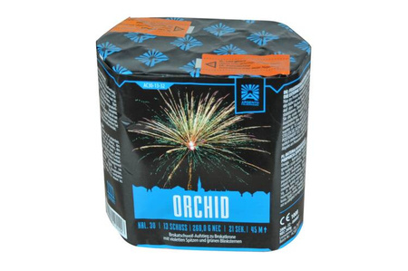 Orchidee 13s AC30-13-32 F2 8/1