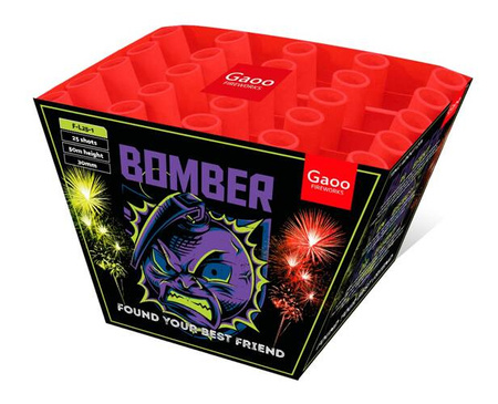 Bomber 25s V F-L25-1 F2 F2 4/1