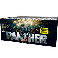 Panther 100s JW490  F2  4/1