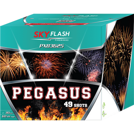 Pegasus Sky Flash 49s PXB3625 F3 2/1