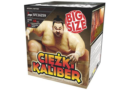 Zwaar kaliber 2" 25s SFC16259 F3 2/1