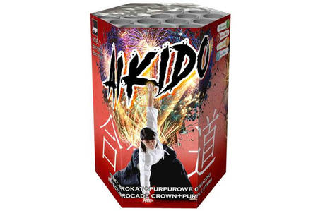 Aikido 19s M38 F2 4/1