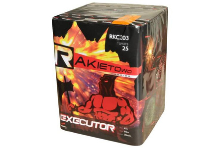 Executeur 25s RKC203 F2 6/1