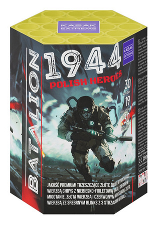 Battalion 1944 Polish Heroes 19s SL19-03D F2 8/1