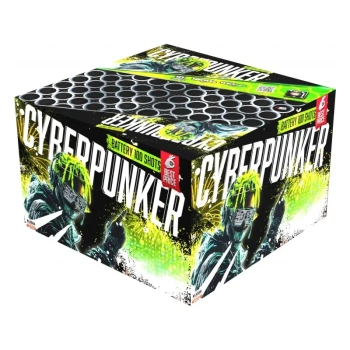 Cyberpunker 100s C1003CY/C F3 1/1