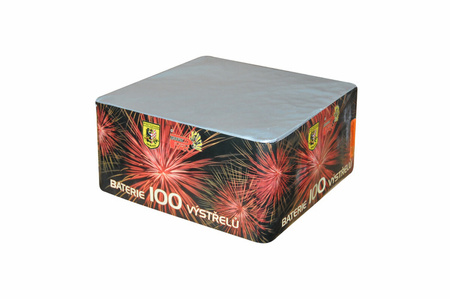 Zilveren Chrysant 100s W901 0,8" 2/1