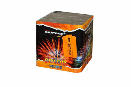Feuerwerksbatterie Color Peony 25 Schuss 0,8 Zoll F2 TXB644 Triplex