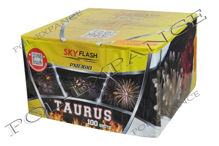 Wyrzutnia TAURUS PXB3610 100strz 20mm F3