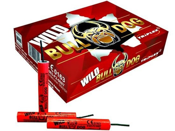 Wilder Bullenhund TXP845