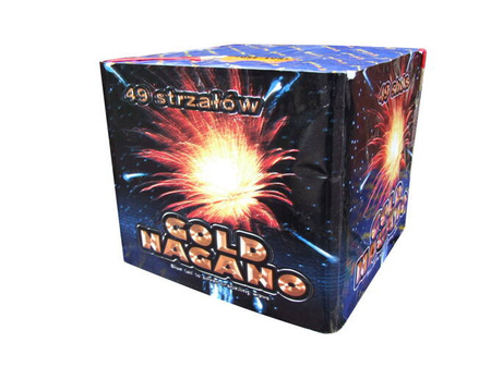 Gouden Nagano P7603 49s 2/1