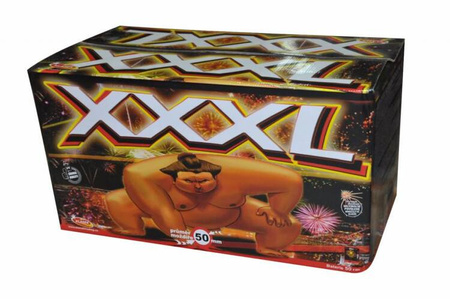 XXXL Batterij 2" 50s C505X F3 1/1