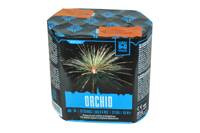 Orchidee 13s AC30-13-32 F2 8/1