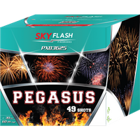 Pegasus Sky Flash 49s PXB3625 F3 2/1