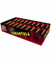 Vogelspinne CLE0207TA F3 40/36