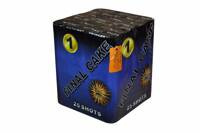 Letzter Kuchen 1 25s XB3004 F3 4/1