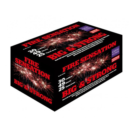 FIRE SENSATION BIG & STRONG 49s 30mm