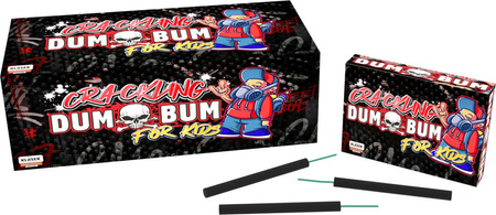 Dum Bum Cracking for Kids CDK1  F1 30/66