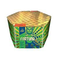 SFCM1761B FORTUNA DISPLAY 61 shots 30 mm