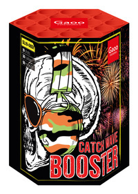 Booster 19s SL19-08DI F2 8/1