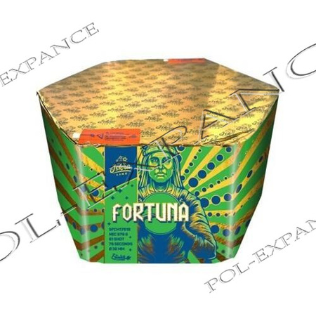SFCM1761B FORTUNA Lanceerinrichting 61 schoten 30 mm