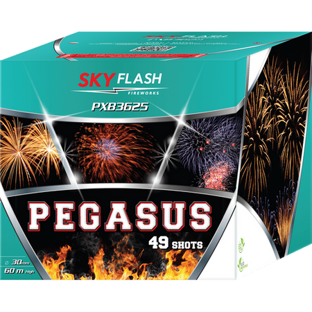 Pegasus Sky Flitser 49s PXB3625 F3 2/1