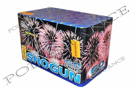 Shogun jaren 60 P7699 2/1