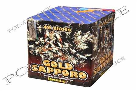 Gold Sapporo P7606 49s 2/1