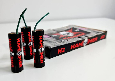 Hammer Pro H2 - PRO F3 100/20