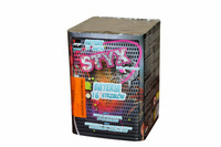 Batterie Styx JW4060 16Schuss 26mm F2 Jorge