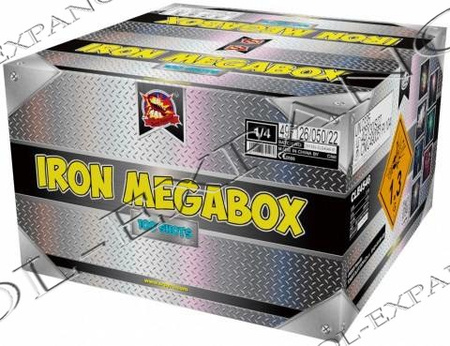 IJzeren Megabox 100s CLE4546 F2 1/1