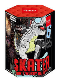 SKATER dont worry be happy SL19-02DI 19s  F2  8/1