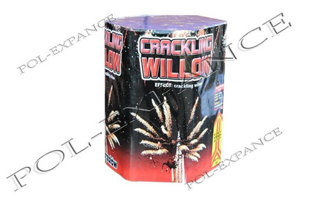 Cracking Willow 19s  P7070 6/1