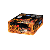 Mini Crack 100s PXB2141 F2 24/1
