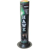 Hawk 100s RKO201 F2 20/1