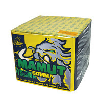 Mamut 25s 2" IC50-25-2 F3 2/1