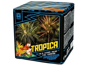Tropica 25s AC30-25-3  f2  4/1