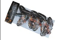 Dragon Fly Motylki 5szt F2 Piromax PXG207